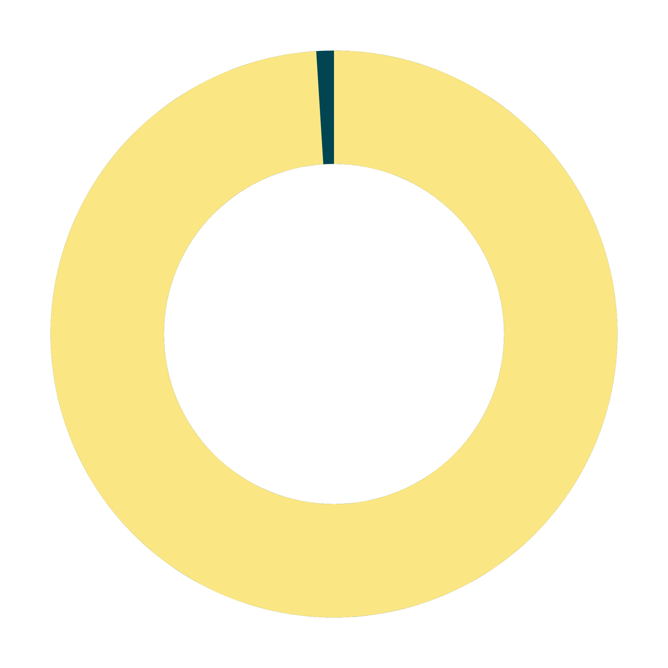 Circle graph with 99% filled