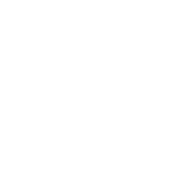 Voyage MIA Logo